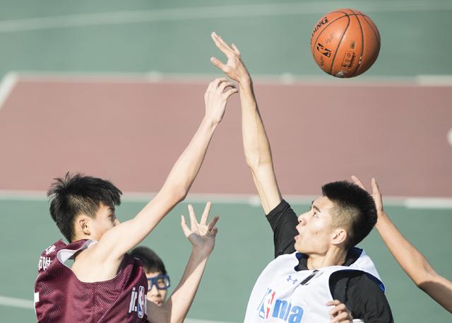 免费区欧美一级毛片