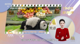 久久精品国产精品亚洲精品